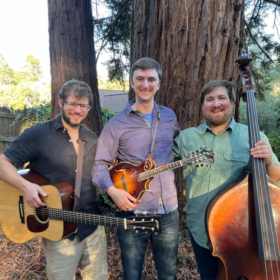Redwood
